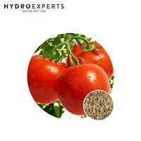 Tomato Clark Aesley - Seed Packet | Organic Seeds | Spring - Summer