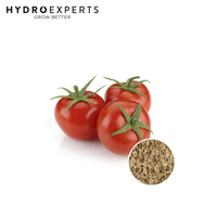 Tomato Flora Lou - Seed Packet | Organic Seeds | Spring - Summer