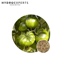 Tomato Green Zebra - Seed Packet | Organic Seeds | Spring - Summer