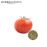 Tomato - Grosse Lisse - 0.2G / 1G | Organic Seeds | Spring - Summer