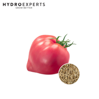 Tomato Oxheart Pink - Seed Packet | Organic Seeds | Spring - Summer