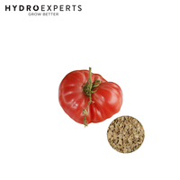 Tomato Yugoslav - Seed Packet | Organic Seeds | Spring - Summer