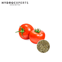 Tomato College Challenger - 0.2G / 5G | Organic Seeds | Spring - Summer