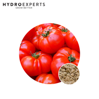 Tomato Graf Zeppelin - 0.2G / 1G | Organic Seeds | Spring - Summer