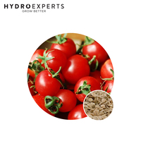 Tomato Red Cherry Cocktail - 0.2G / 1G | Organic Seeds | Spring - Summer