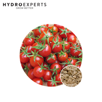 Tomato Red Cherry Currant - 0.2G / 1G | Organic Seeds | Spring - Summer
