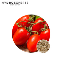 Tomato Roma - 0.2G / 5G | Organic Seeds | Spring - Summer
