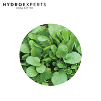 Watercress Upland - 0.1G / 5G | Organic Seeds | Autumn - Spring