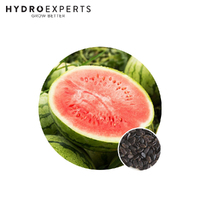 Watermelon - Warpaint | Organic Seeds | Spring - Summer