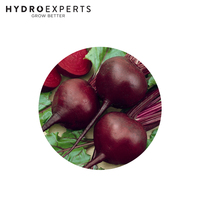 Beetroot Detroit Red - Seed Packet | Untreated Seed | All Seasons