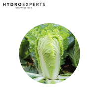 Cabbage Chinese Michihili - 1G / 5G / 25G / 50G | Untreated Seeds | Autumn - Spring