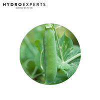 Pea Telephone - 5G / 100G / 500G / 1KG | Untreated Seeds | Autumn - Spring