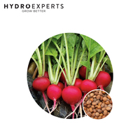 Radish Cherry Belle - 5G / 25G / 50G | Untreated Seed | All Seasons