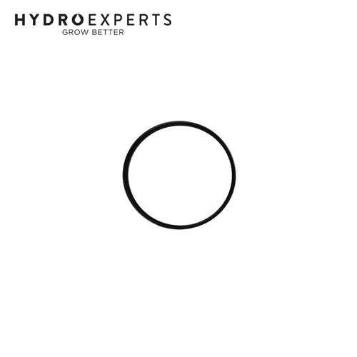 Oase NBR 82 x 2 SH70 - Replacement O-Ring | 73477