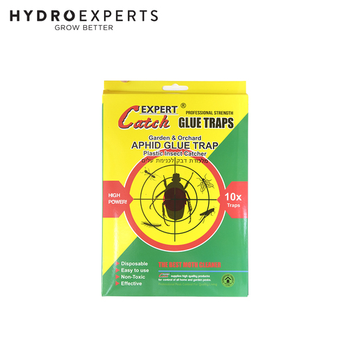 [10] x Yellow Sticky Fly Trap - 17CM x 24CM | Double Sided Glue Trap