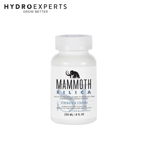 Mammoth Silica Si - [Size: 250ML]