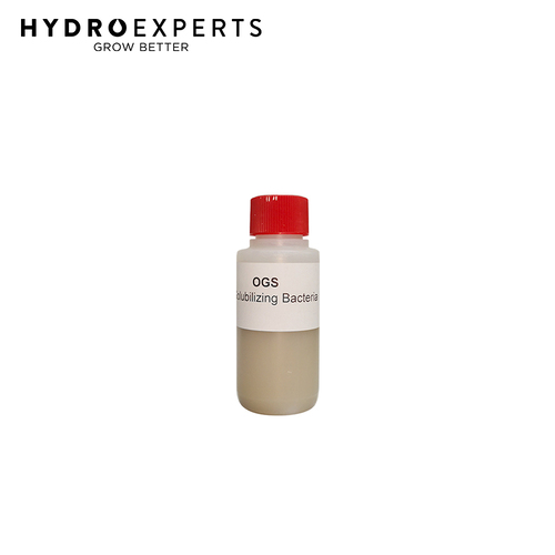Organic Gardening Solutions P-Solubalizing Bacteria - 100ML