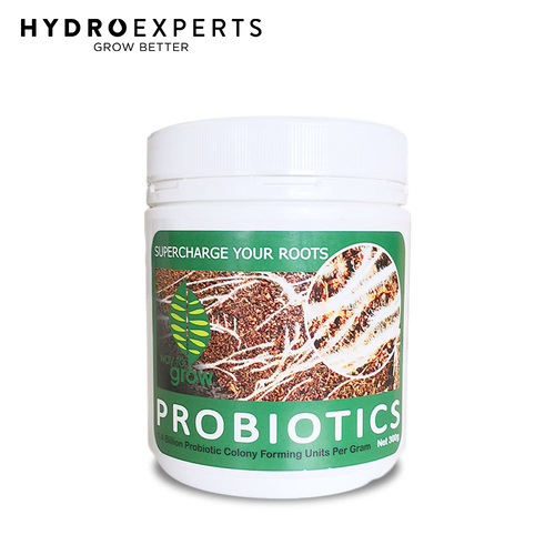 W2G Professional Coco Probiotics - 300GM