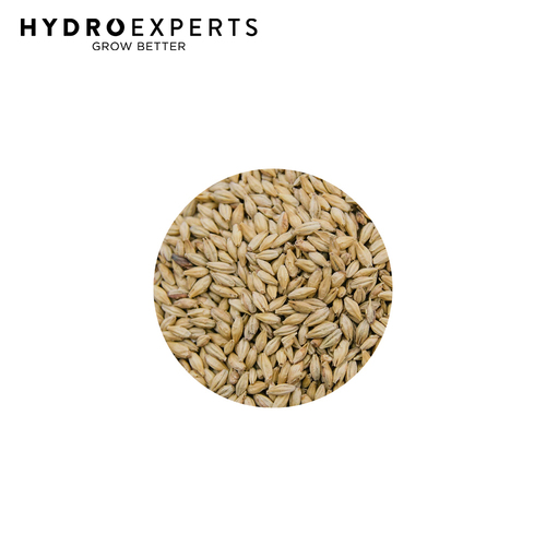 Dr Greenthumbs Malted Barley - [Size: 1KG]