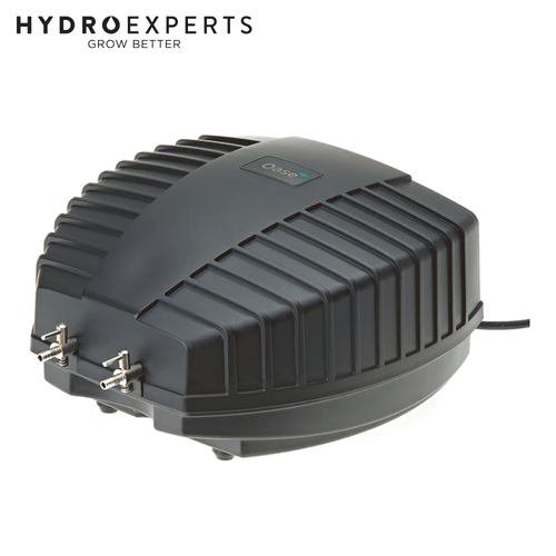 Oase AquaOxy 1000 Air Pump