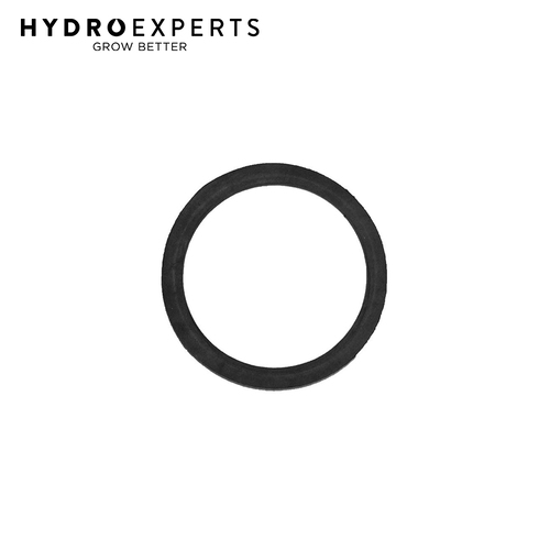Current Culture Flat Gasket - 50mm (2