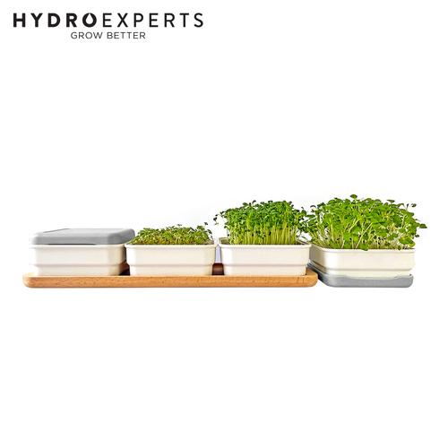 Micropod Continuous Grow Kit - [Colour: Stone]