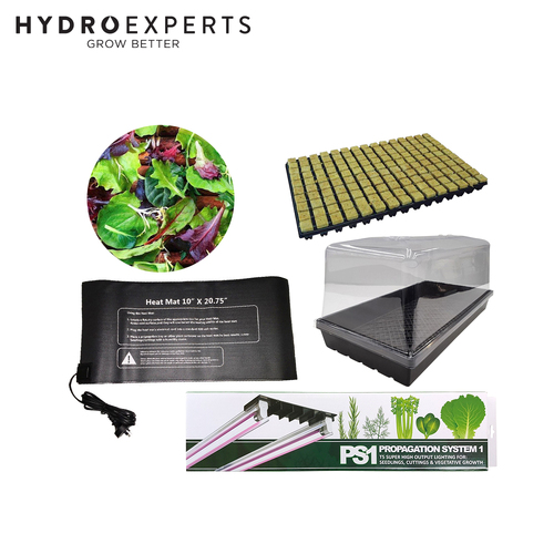 Hydro Experts Grow Your Own Lettuce Kit