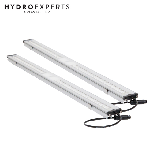 SanLight FLEX II 2 x 10W | Clone LED Grow Light