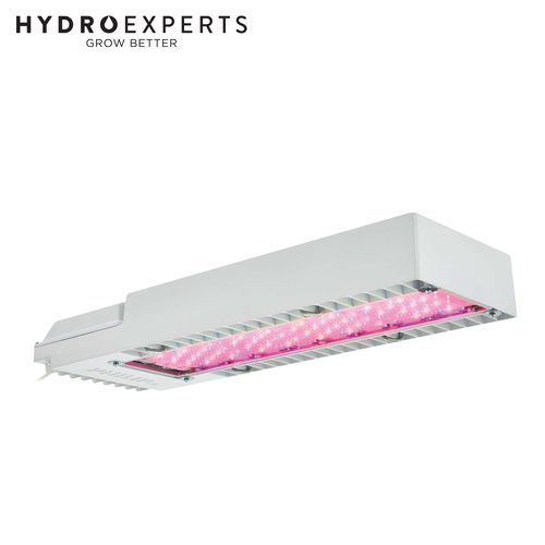 Philips 520W GreenPower Top light Compact Deep RED White LED - 3.4 umol/J | MB | 1750 umol/s