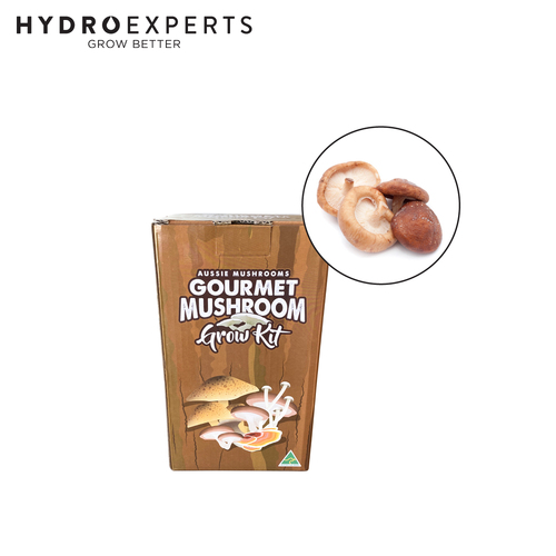 Aussie Mushroom Ready to Grow Mushroom Kit - Shiitake | Easy to Fruit