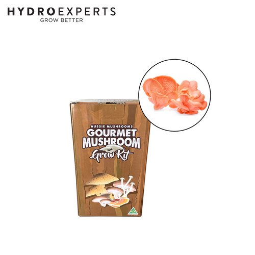 Aussie Mushroom Ready to Grow Mushroom Kit - Pink Oyster | Easy to Fruit