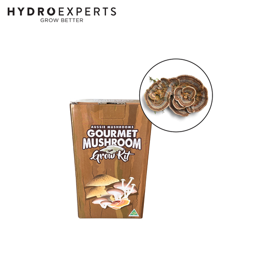 Aussie Mushroom Ready to Grow Mushroom Kit - Turkey Tail | Easy to Fruit