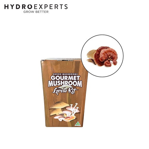 Aussie Mushroom Ready to Grow Mushroom Kit - Australian Reishi | Easy to Fruit