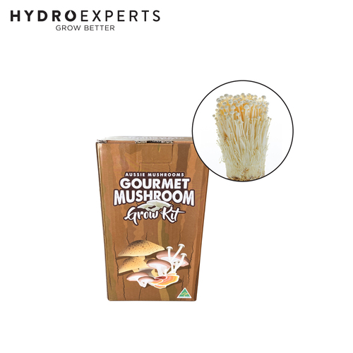 Aussie Mushroom Ready to Grow Mushroom Kit - Enoki | Easy to Fruit