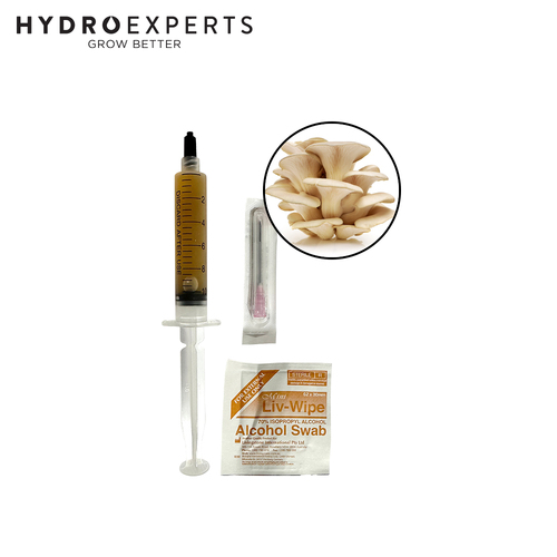 Mushroom Experts Liquid Culture 10ML Syringe - Tan Oyster Mushroom (Pleurotus Eryngii)