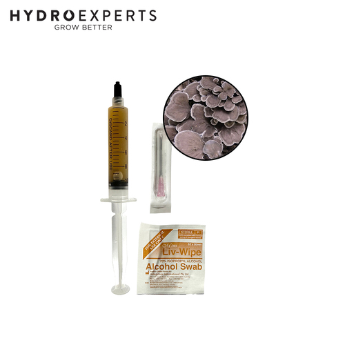 Mushroom Experts Liquid Culture 10ML Syringe - Maitake Mushroom (Grifola Frondosa)