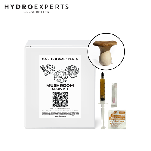 Mushroom Experts Ready to Grow Mushroom Kit - King Oyster Mushrooms (Pleurotus Eryngii)