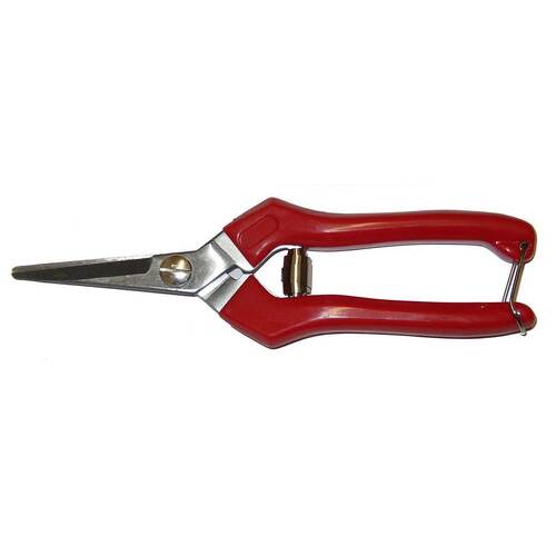 Ryset Large Picking Snip - 62MM