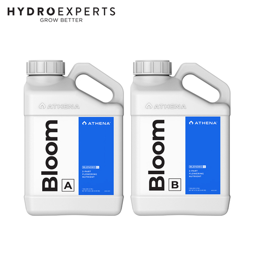 Athena Blended Line Bloom A + B - [Size: 3.7L]