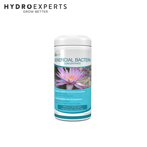 Aquascape Beneficial Bacteria Concentrate - [Size: 0.5KG]