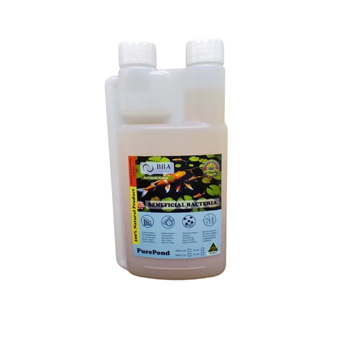 BBA PurePond Beneficial Aerobic & Anaerobic Bacteria for Pond - [Size: 250ML]