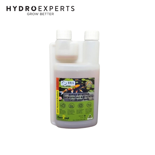 BBA PurePond Algae Blaster - 500ML