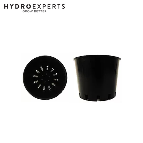 Orchid Pots - 80 X 65MM [Number of Pots: 1]