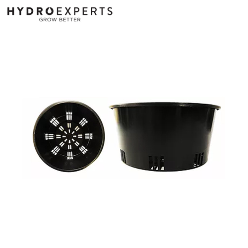 Orchid Pots - 200 X 100MM [Number of Pots: 1]