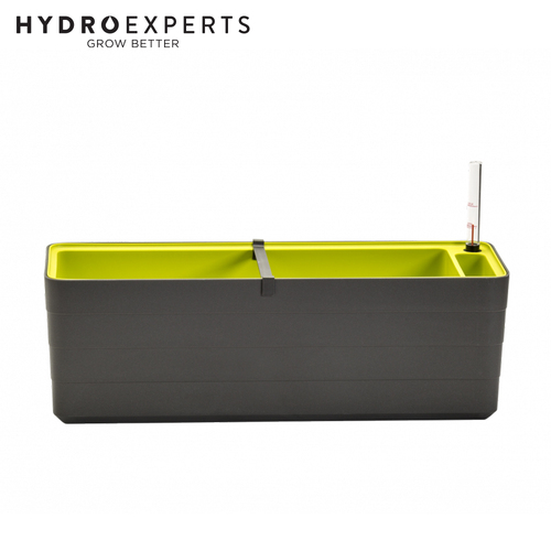 Plastia Berberis 60 Self-Watering Planter - Grey & Green