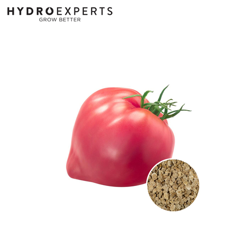 Tomato Oxheart Pink - Seed Packet | Organic Seeds | Spring - Summer