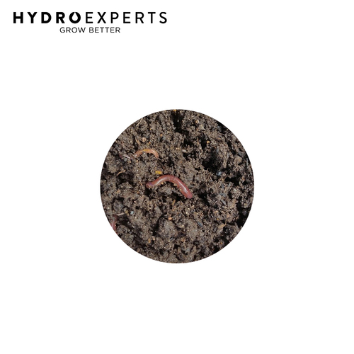 Organic Gardening Solutions Vermicompost / Worm Castings - 25L