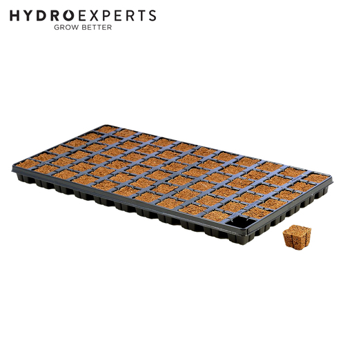 Eazy Plug Coco Peat Based Propagation Medium with Tray - [Size: 77 Cubes]