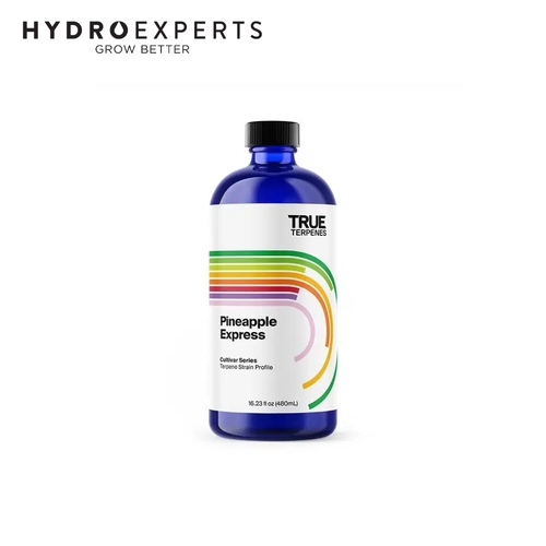 True Terpenes Pineapple Express - 5ML | Cultivar Series