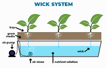 Wick System